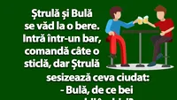 BANC | Bulă, de ce bei cu ochii închiși?