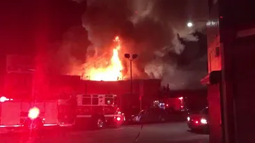 Colectiv made in SUA: cel puţin 9 persoane au murit şi alte 25 sunt dispărute după ce un club californian a ars 