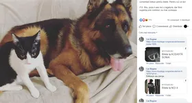 Galerie foto - poza 2