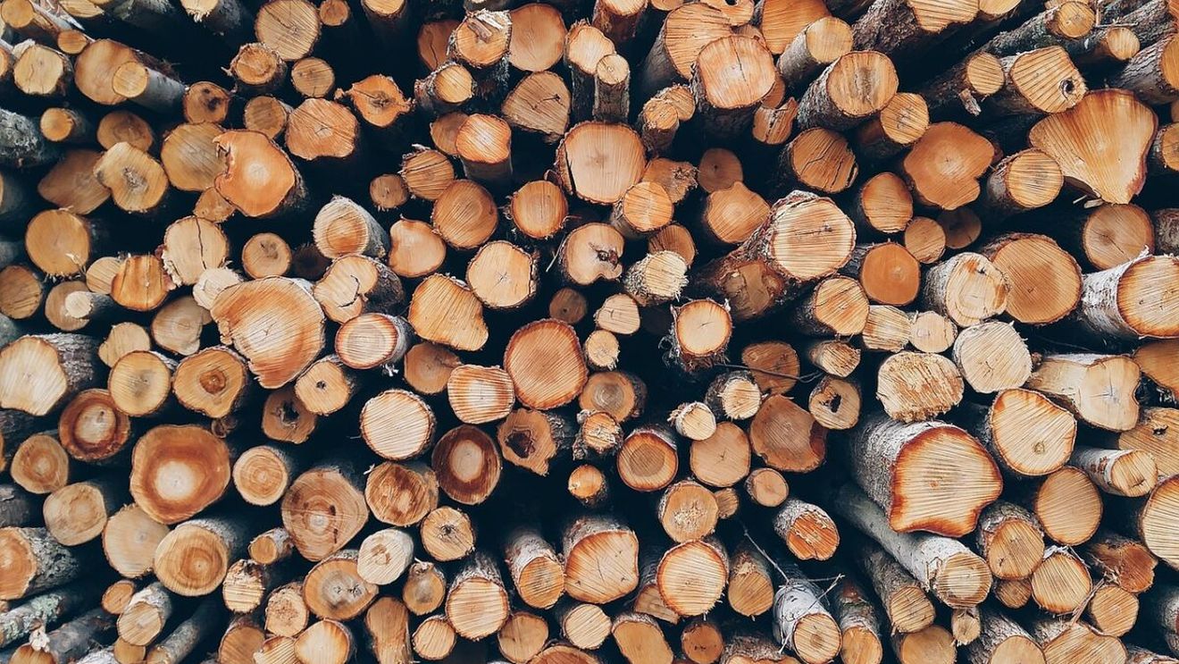 Cât a ajuns să coste un metru cub de lemne în octombrie 2025. Vești proaste pentru români!