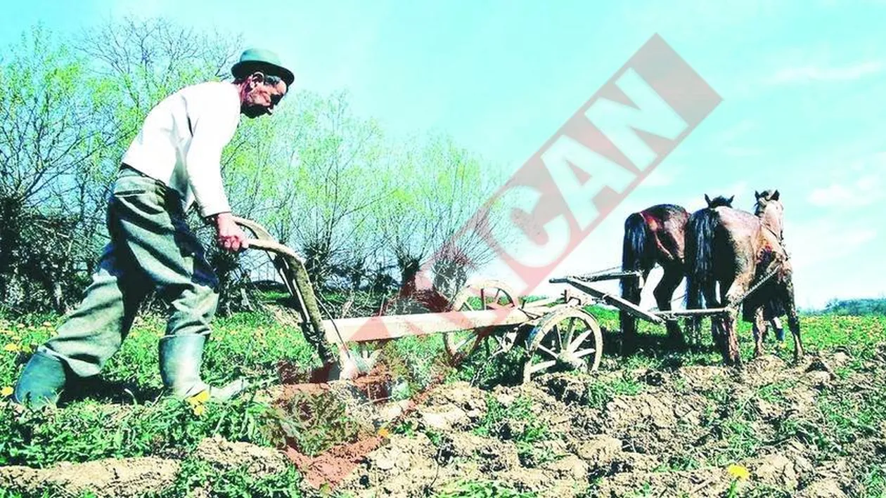 Peste 44,5 grade Celsius!