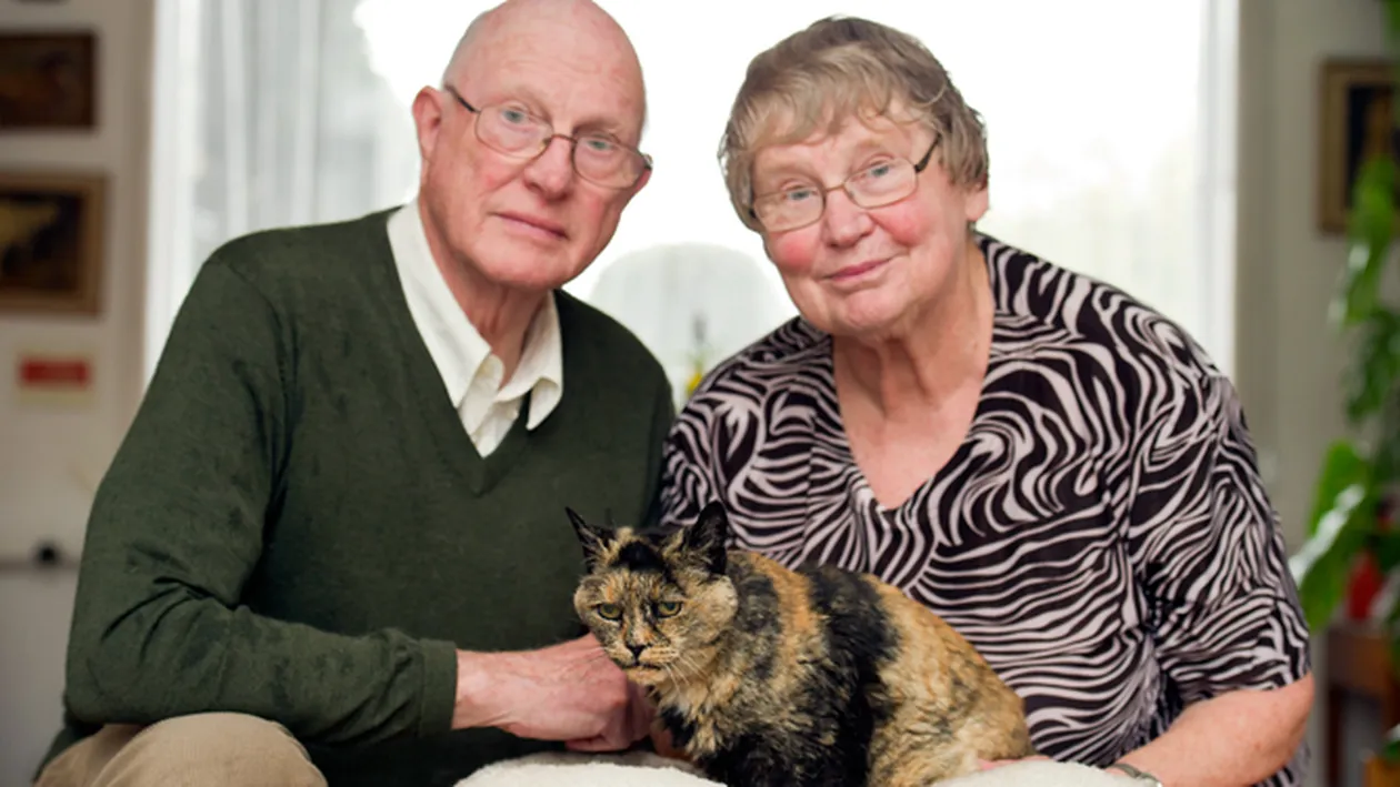 Cea mai batrana pisica traieste in Olanda! Are 25 de ani