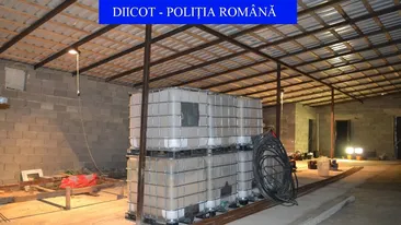 Decizie bombă în cel mai mare dosar de droguri din Iași! Membrii rețelei au fost eliberați