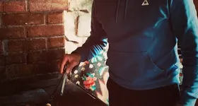 Galerie foto - poza 2