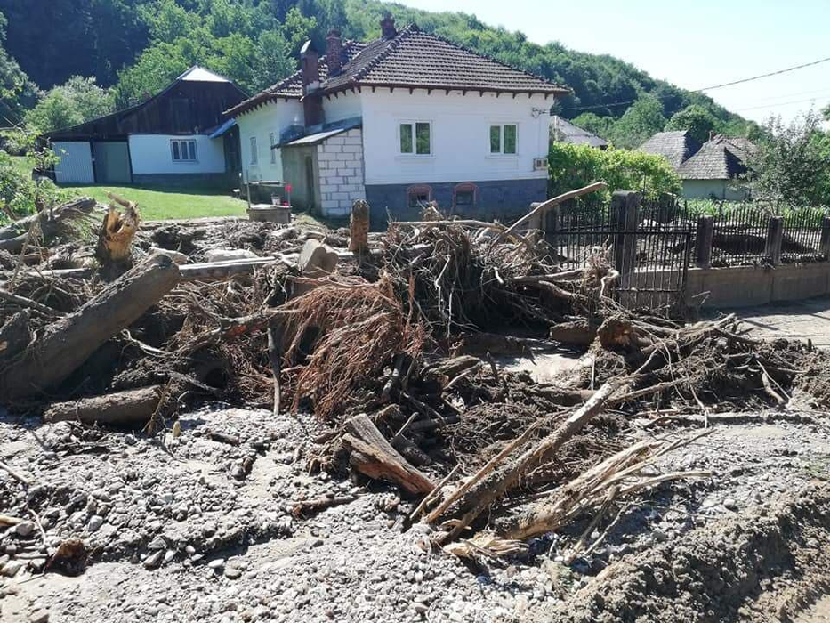 Apa a adus bușteni pe drum