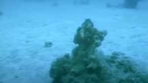 Descoperire terifiantă a oamenilor de știință. Ireal ce au găsit pe fundul Mării Roșii