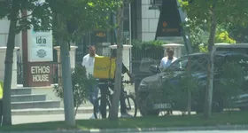 Galerie foto - poza 4