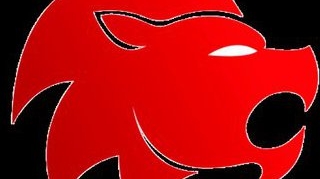 Tipologia zodiilor