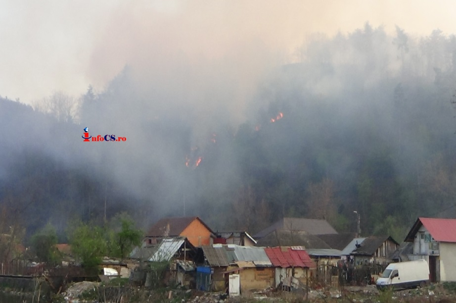 Incendiu puternic la marginea Reșiței, 150 de case în pericol. Culmea, localnicii fac selfie-uri | VIDEO