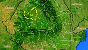 Rezultate Evaluarea Națională 2019 (Capacitate) Cluj