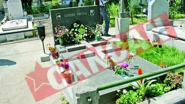 Cavou templier pentru cavalerul Adrian Pintea