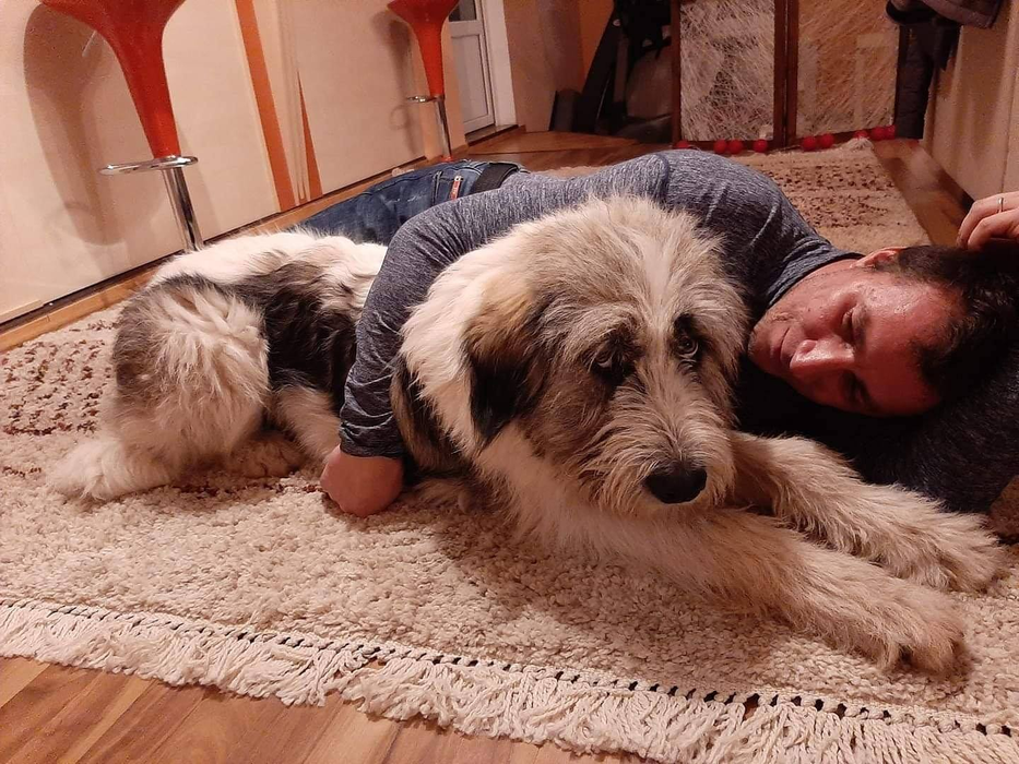 Marian Godină, atac devastator la Sorina Pintea: ”Fmm, că mor de nervi!”