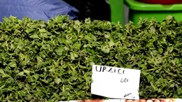 Cât au ajuns să coste urzicile acum, în februarie 2026. Românii cumpără 100-200 de grame