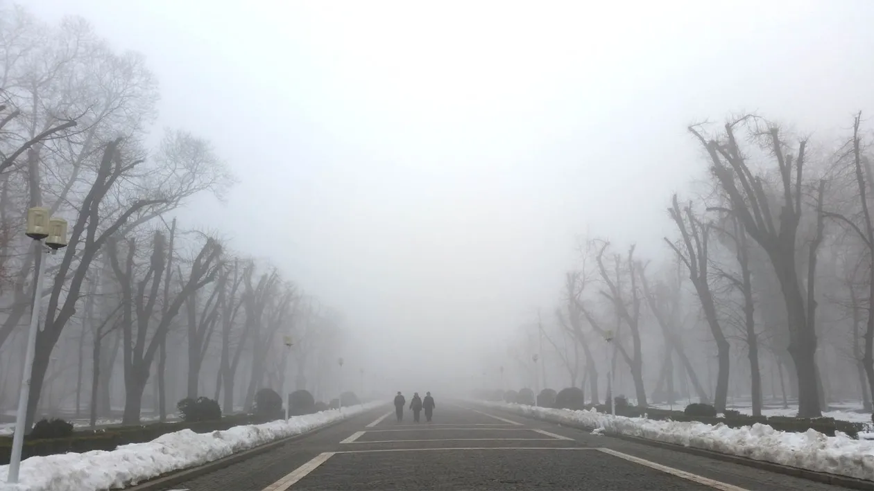 Avertizarea meteorologilor: COD GALBEN de ceaţă în şapte judeţe din ţară