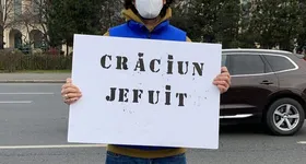 Galerie foto - poza 4