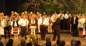 Galerie foto - poza 2