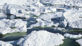 Anunt soc: Calota glaciala de la Polul Nord  s-ar putea topi complet pana in 2060