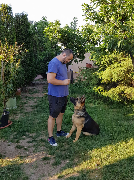 Leonard, un adevărat prieten al câinelui