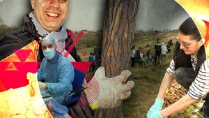 Povestea stomatologului care a plantat peste noapte o pădure întreagă