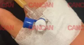 Galerie foto - poza 2