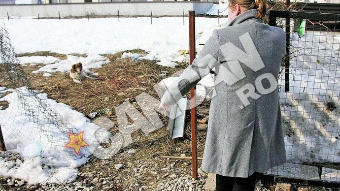 La sapte ani dupa ce a impuscat un barbat, Adrian Iovan este din nou implicat intr-un scandal cu arme de foc! Acuzat ca a ucis un caine