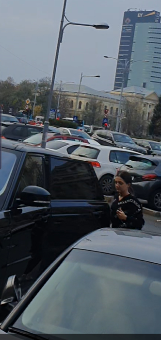 Mihai Mincu a declarat că Theodora Becali nu este însărcinată