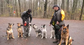 Galerie foto - poza 1