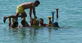 Galerie foto - poza 3