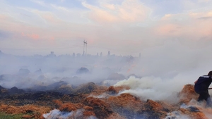 Incendiu puternic pe o suprafață de patru hectare în Ialomița. Pompierii încearcă să lichideze flăcările de aproape 48 de ore