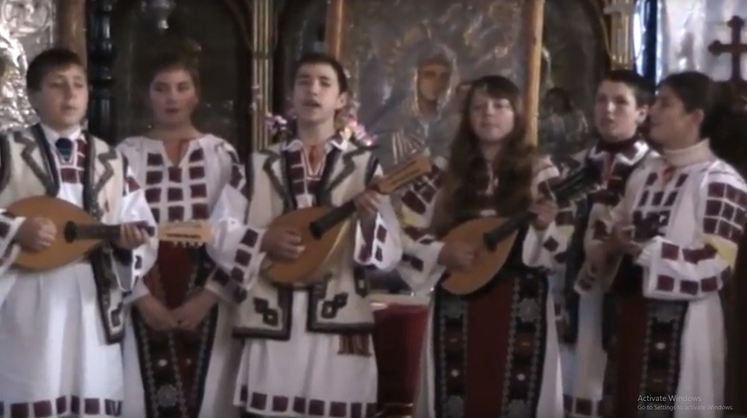 În urmă cu şapte ani, "Nuferii Dunării" erau mai mari
