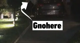 Galerie foto - poza 3