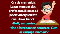 BANC | Ora de gramatică: Bulă, cum se conjugă 'mamaia'?