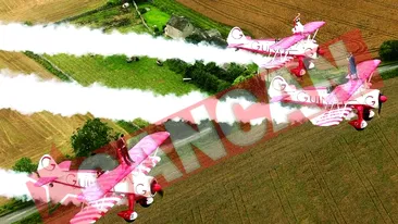 S-au casatorit pe avion