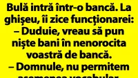 BANC | Bulă intră într-o bancă: Duduie, vreau să pun niște bani în nenorocita voastră de bancă