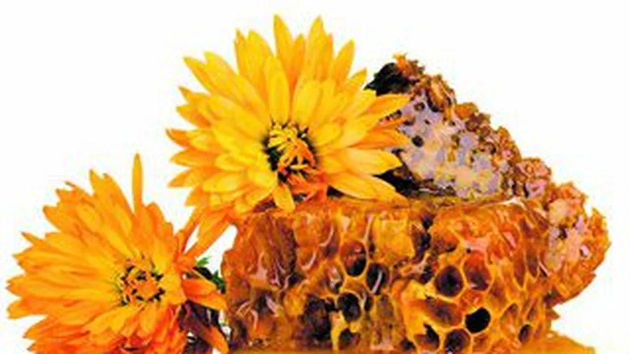 Propolisul, un antibiotic natural