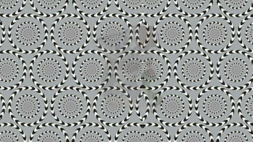 Test de inteligență | Ești un mega-geniu dacă poți numi animalul ascuns în această iluzie optică, în maximum 25 de secunde