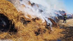 Incendiile de vegetație au pus pe jar pompierii din Dâmbovița. Acum se luptă cu focuri uriașe în mai multe localități