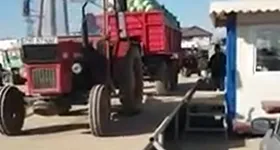 Galerie foto - poza 1