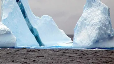 Un iceberg de 30 de milioane de tone s-a desprins dintr-un ghetar in urma cutremurului din Noua Zeelanda