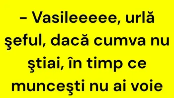 BANCUL ZILEI | Șeful urlă la Vasile