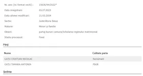 Galerie foto - poza 2