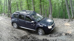 S-au rătăcit în pădure, iar mașina le-a rămas împotmolită în noroi. Ce s-a întâmplat cu doi soți