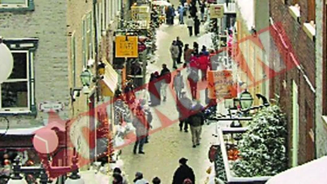 Profesorii, medicii si matematicienii romani, platiti regeste in Canada