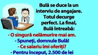 BANC | Bulă, la interviul de angajare: Ce salariu îmi oferiți?