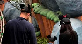 Galerie foto - poza 1