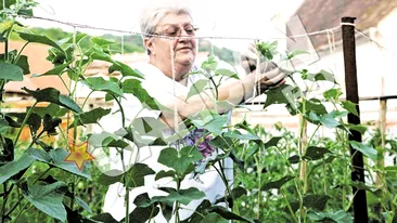 Mama FNI s-a instalat definitiv intr-un sat sibian, unde creste gaini si are o gradina-model Vlas si vrejul de fasole