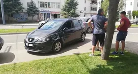 Galerie foto - poza 4