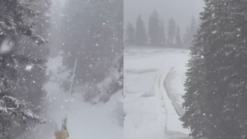 Locul din România unde a nins ca în poveşti. Iarnă la mijloc de martie. VIDEO