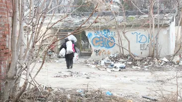 Are o istorie fabuloasa in spate, dar este devastata de hoti! Vezi ce monument din Capitala dispare caramida cu caramida!