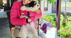 Galerie foto - poza 3